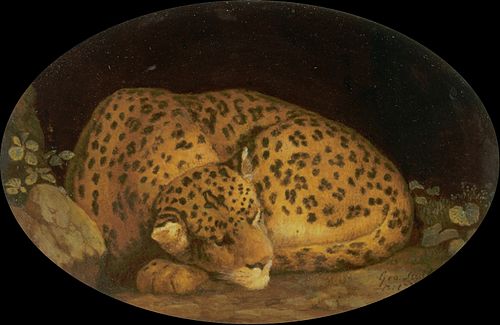 Sleeping Leopard, 1777, George Stubbs