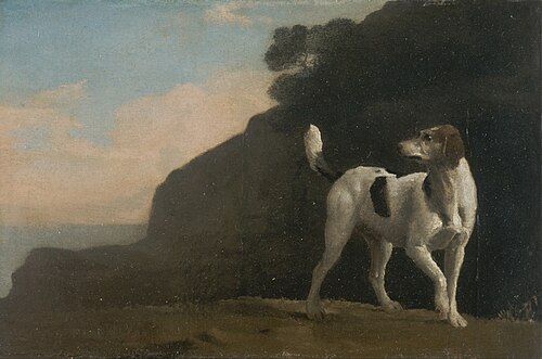 Foxhound, 1760, George Stubbs