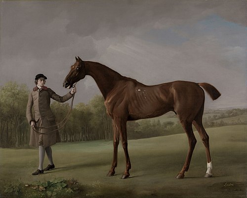 Lustre, tenu par un palefrenier, 1762, George Stubbs