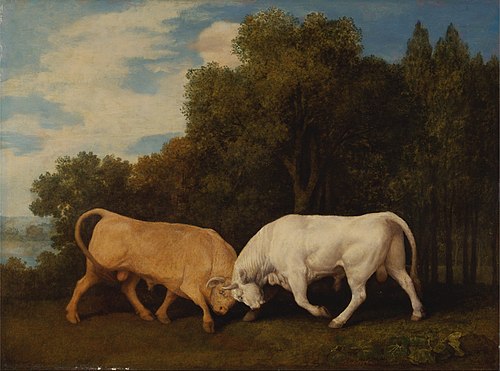 Bulls Fighting, 1786, George Stubbs