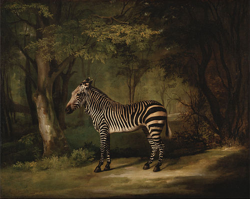 Zebra, 1763, George Stubbs