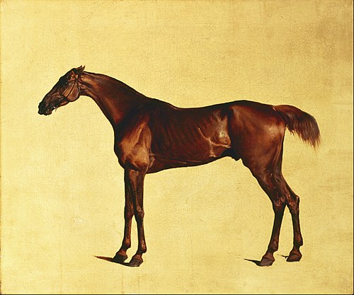Pangloss, 1762, George Stubbs