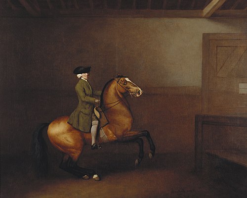 Portrait of a Gentleman, 1791, George Stubbs