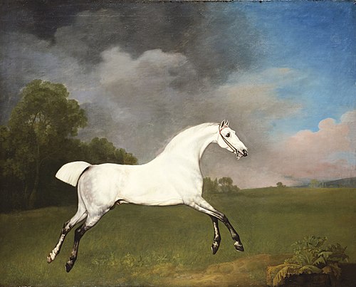 Cheval gris galopant dans un champ, 1793, George Stubbs