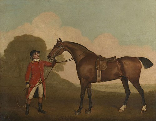 A Bay Horse with a Groom, 1791, George Stubbs