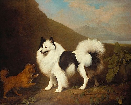 Fino and Tiny, 1791, George Stubbs
