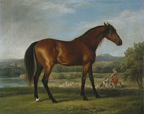 Hollyhock, 1768, George Stubbs