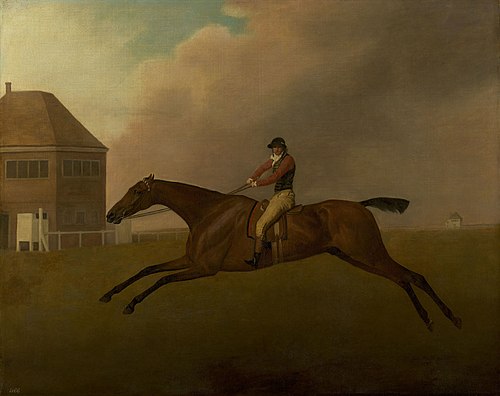 Baronet with Samuel Chifney up, 1791, George Stubbs