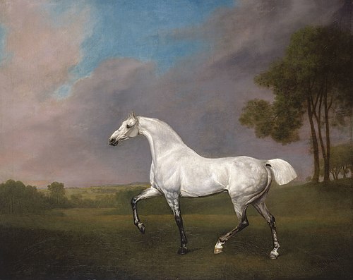 A Grey Horse, 1793, George Stubbs