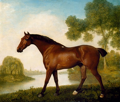 Truss, A Hunter, , George Stubbs