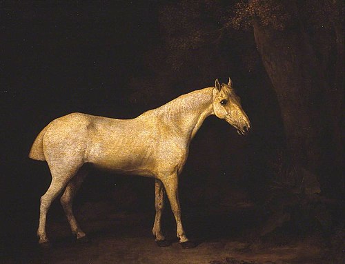 Horse in the Shade of a Wood, 1780, George Stubbs