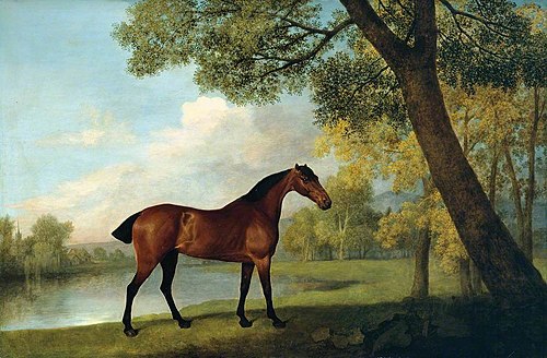 Hunter bai au bord d'un lac, 1787, George Stubbs