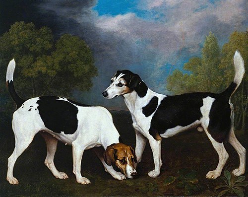 A Couple of Foxhounds, 1792, George Stubbs