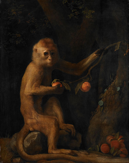 A Monkey, 1799, George Stubbs