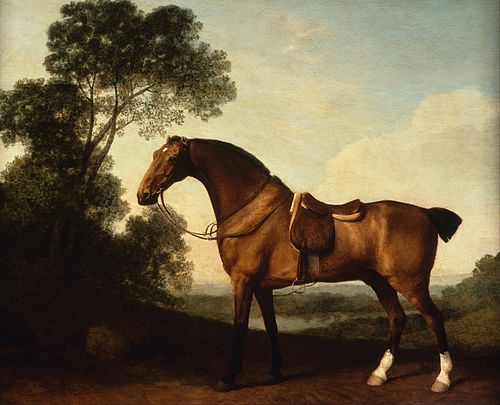 A Saddled Bay Hunter, 1786, George Stubbs