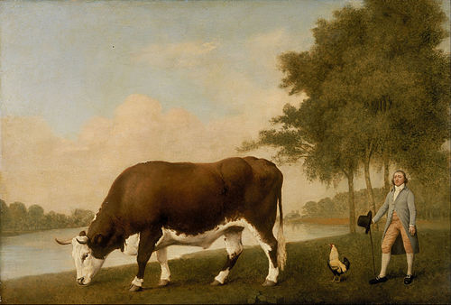 The Lincolnshire Ox, 1790, George Stubbs
