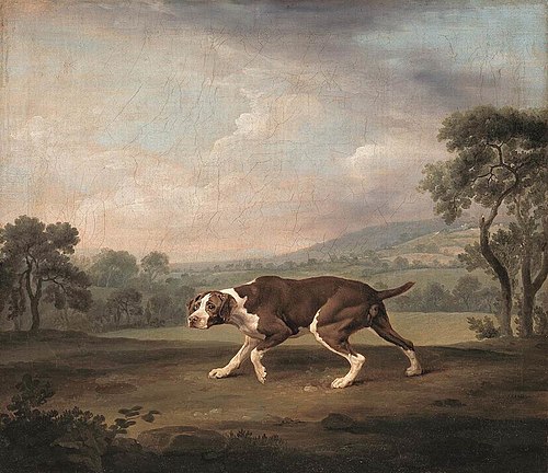 Hühnerhund, 1766, George Stubbs