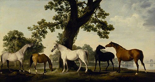 Cinq juments à l'élevage du duc de Cumberland dans le Grand Parc de Windsor, 1762, George Stubbs