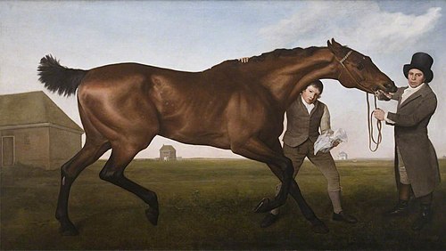 Hambletonian, Rubbing Down, 1800, George Stubbs