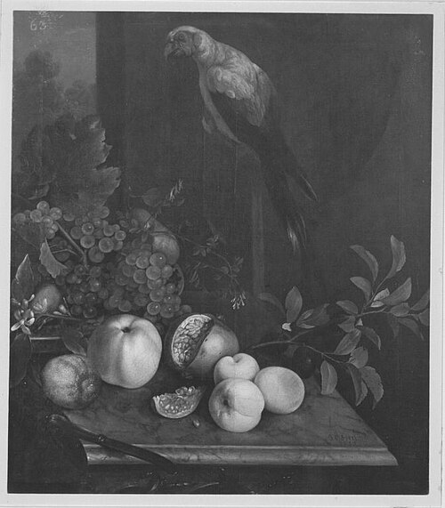 Früchtestück mit Papagei, 1723, Johann Christian Sperling