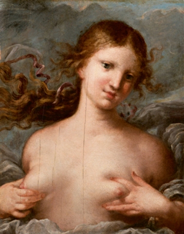 Allegory of femininity, 1650, Marco Liberi