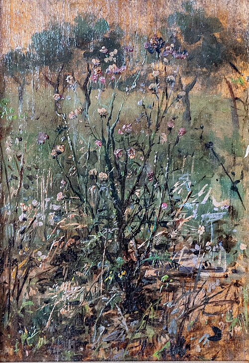 Untitled, , Pasquale Celommi