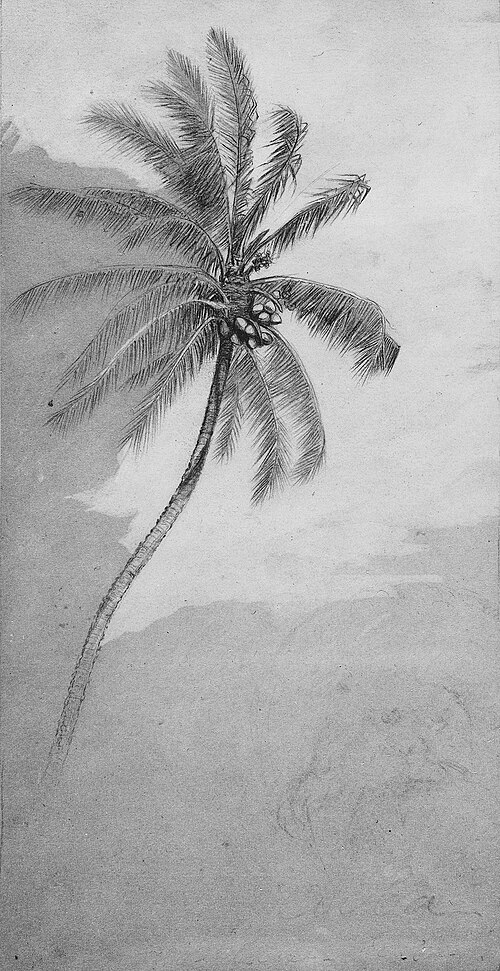 Palm Tree, 1879, Elihu Vedder