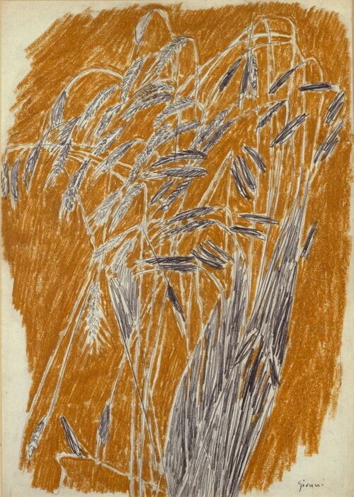 Wheat, 1957, Piero Giunni