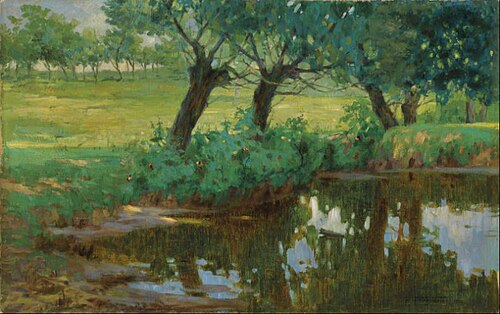 A Quiet Pond, , Pietro Fragiacomo