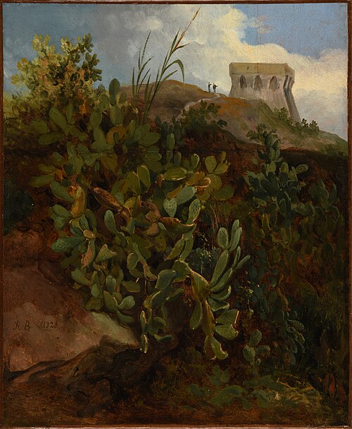 Tour et cactus, 1828, Jacques Raymond Brascassat