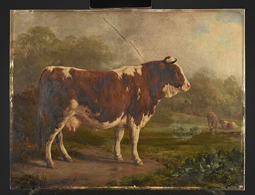 , 1853, Jacques Raymond Brascassat