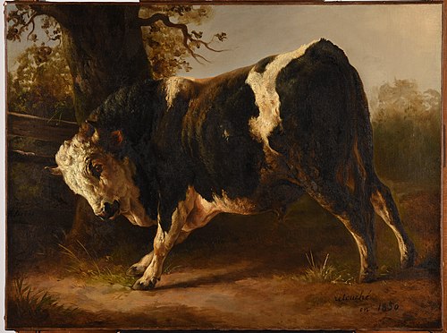 Taureau en courroux, 1833, Jacques Raymond Brascassat