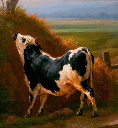 A Bull in a Normandy Pasture, , Jacques Raymond Brascassat