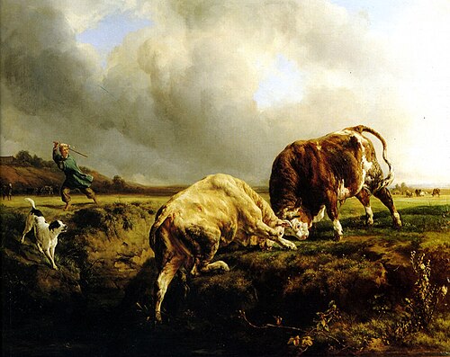 Lutte de taureaux, 1837, Jacques Raymond Brascassat