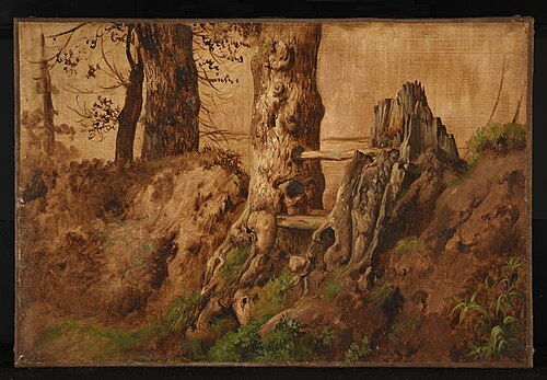 Arbres et rochers, 1850, Jacques Raymond Brascassat