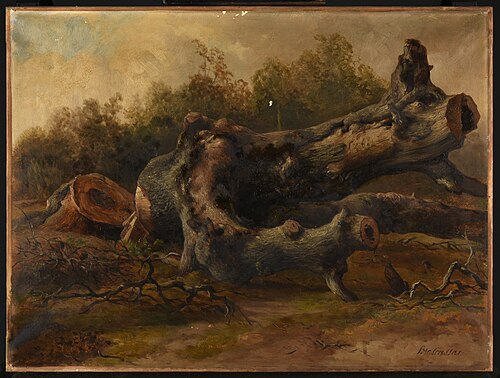 Arbre coupé, 1850, Jacques Raymond Brascassat