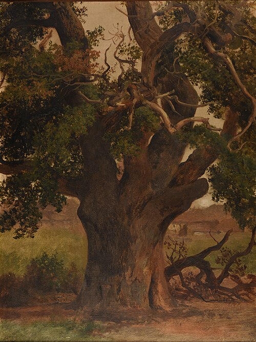 Le Vieux chêne (étude), 1850, Jacques Raymond Brascassat