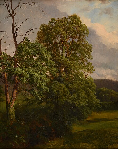 Les Chênes, 1850, Jacques Raymond Brascassat