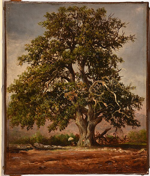 Le Vieux chêne, 1850, Jacques Raymond Brascassat