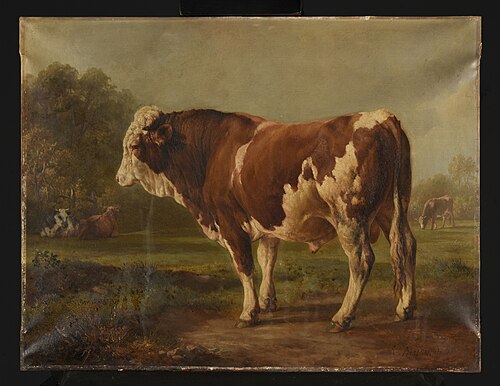 Jeune taureau, 1850, Jacques Raymond Brascassat