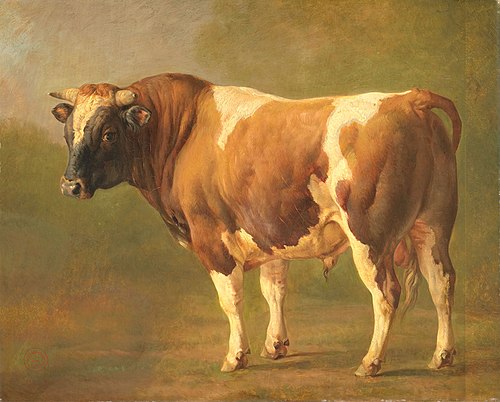 Étude de taureau, 1830, Jacques Raymond Brascassat