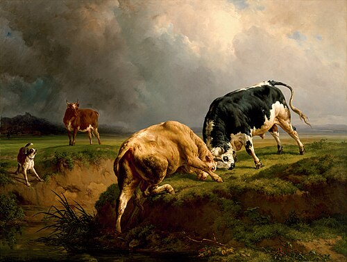 Un combat de taureau, 1855, Jacques Raymond Brascassat