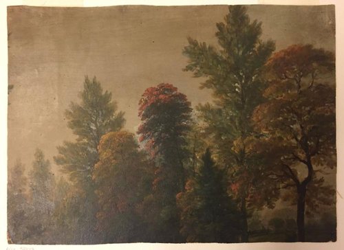 (Landscape Fragment) Autumn Foliage, , Asher Brown Durand