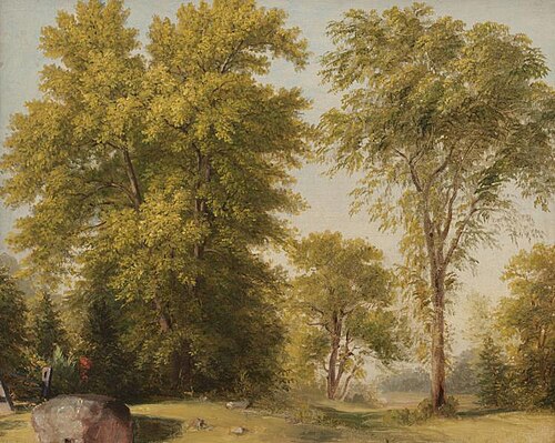 Study from Nature, Hoboken, New Jersey, 1834, Asher Brown Durand