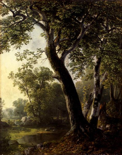 Study at Marbletown, Ulster County, New York, 1845, Asher Brown Durand