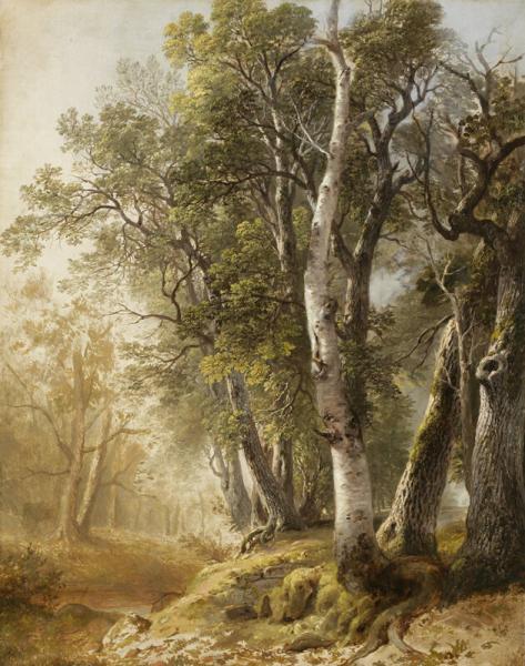 Trees by the Brookside, Kingston, New York, 1846, Asher Brown Durand