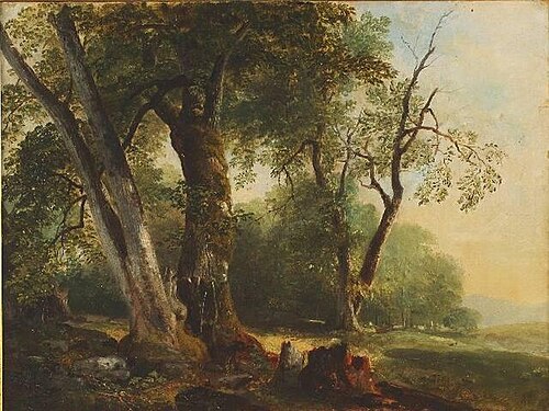 Landscape with Beech Tree, 1845, Asher Brown Durand