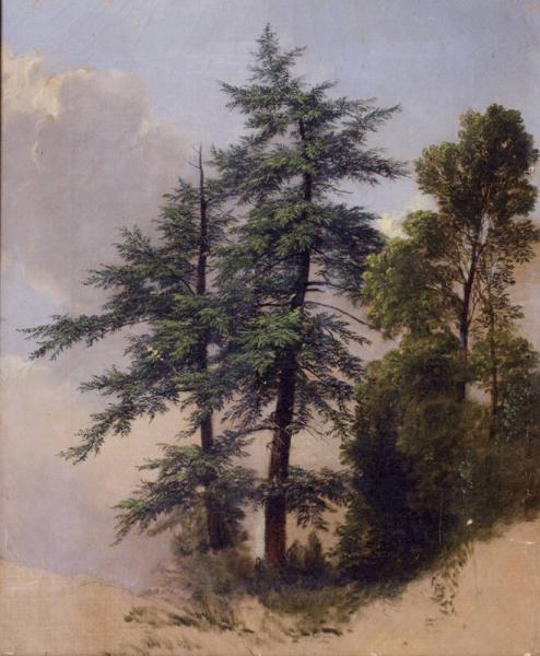 Tree Study, Newburgh, New York, 1849, Asher Brown Durand