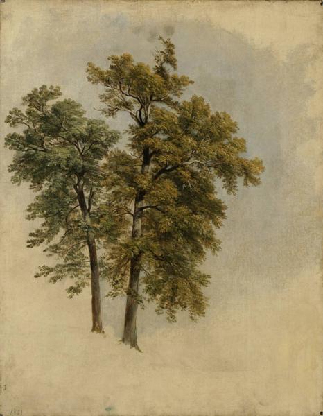 Two Trees, 1851, Asher Brown Durand