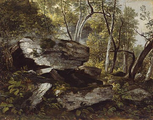 Study from Nature: Rocks and Trees, 1856, Asher Brown Durand